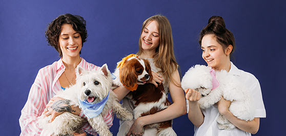 Groupe de personnes avec des chiens dans les bras