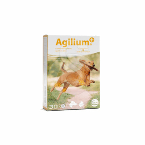 Agilium + - AGI002