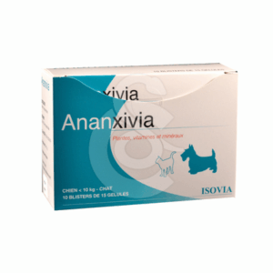 Ananxivia Chat/Petit Chien - ANA017