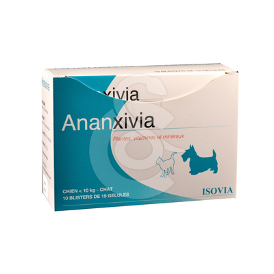 Ananxivia Chat/Petit Chien - ANA017