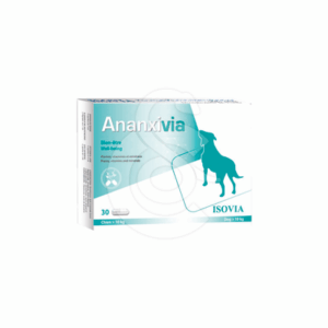 Ananxivia Grand Chien - ANA016