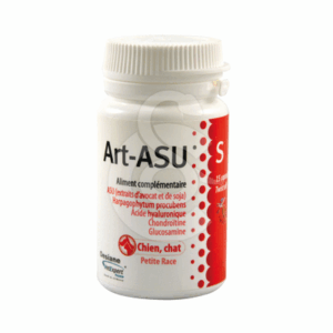 Art-Asu S - ART016