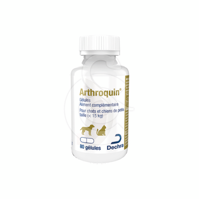 Arthroquin 300 mg - ART024