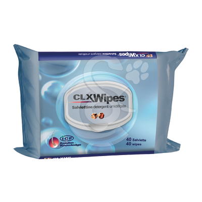 CLX Wipes - CLX001