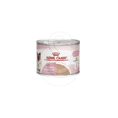 Cat Mother & Babycat Boîte - RCC003