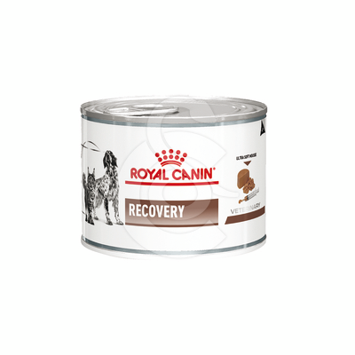 Cat/Dog Recovery Boîte - VDD084