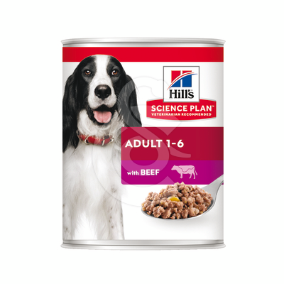 Chien Adult Boeuf Boîte - CHI294