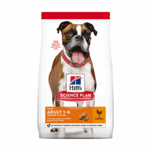 Chien Adult Light Medium Poulet - CHI129