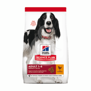 Chien Adult Medium Poulet - CHI379
