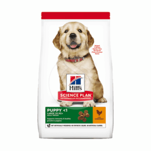 Chien Puppy Large Breed Poulet - CHI365