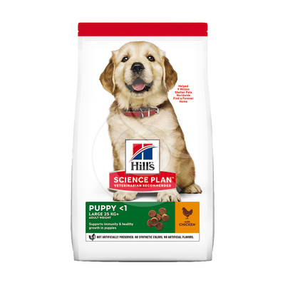 Chien Puppy Large Breed Poulet - CHI365