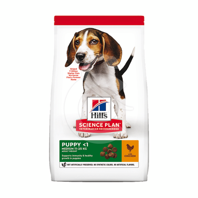 Chien Puppy Medium Poulet - CHI177