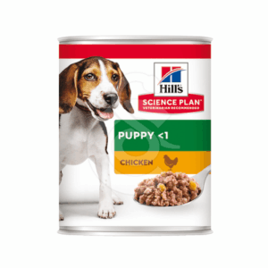Chien Puppy Poulet Boîte - CHI299
