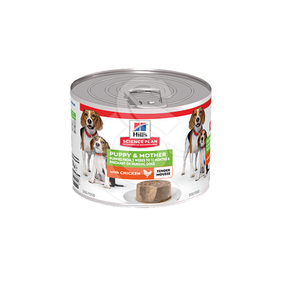 Chien Puppy & Mother Mousse Poulet Boîte - HCN069