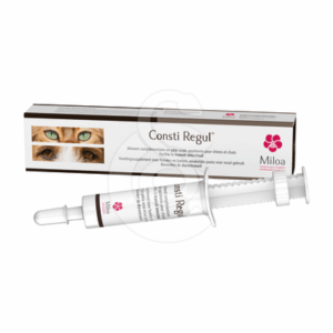 Consti Regul - CON011