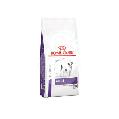 Dog Adult Small Dog - VCN001