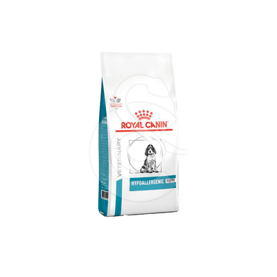 Dog Hypoallergenic Puppy - RCD041