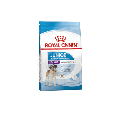 Dog Junior Giant - RCD023
