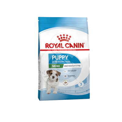 Dog Puppy Mini - RCD011