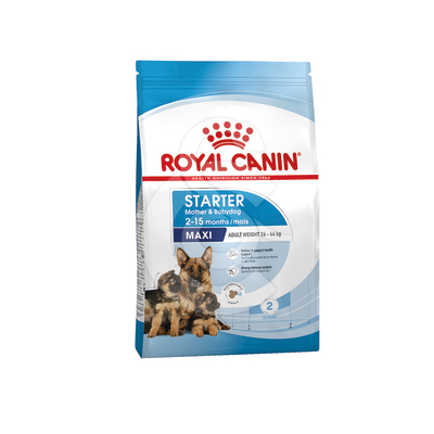 Dog Starter Mother & Babydog Maxi - RCD005