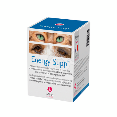 Energy Supp - ENE012