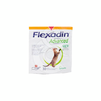 Flexadin Advanced Chat - FLE060
