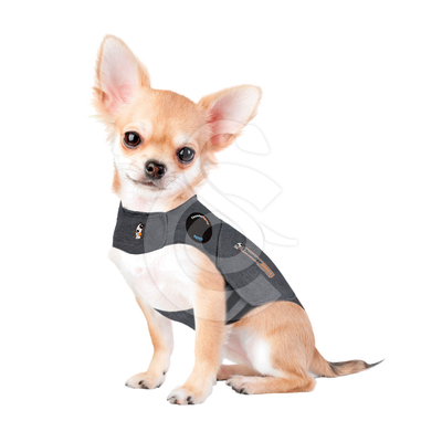 Gilet anti-anxiété ThunderShirt pour chien - GIL792