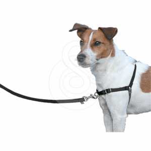 Harnais Easy Walk - HAR935