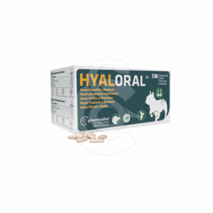 Hyaloral Chiot, petites et moyennes races - HYA006