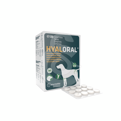 Hyaloral Grande et très grandes races - HYA007