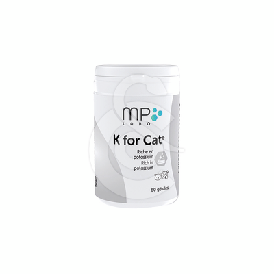 K For Cat - KFO001
