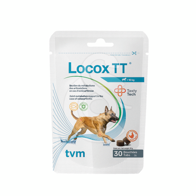 Locox TT - LOC006