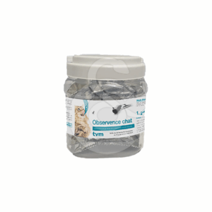 Observence Chat en barre - OBS006