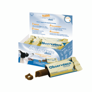 Observence Chien en barre - OBS005