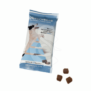 Observence Chien en boulettes - OBS001