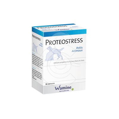 Proteostress PA - WAM015