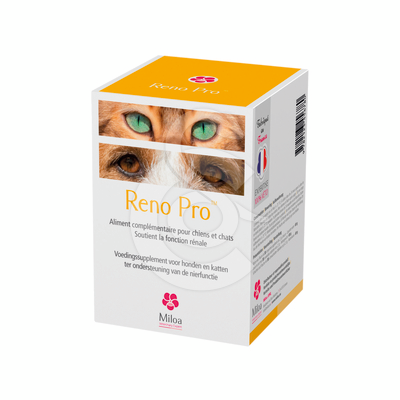 Reno Pro - REN009