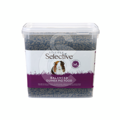 Selective Guinea Pig (Cochon d'Inde) - SEL245