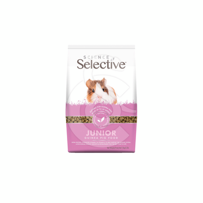 Selective junior Guinea Pig (Cochon d'Inde) - SEL252