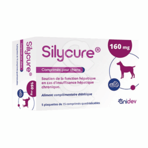 Silycure 160mg - SIL016