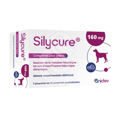 Silycure 160mg - SIL016