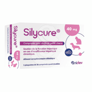 Silycure 40mg - SIL014