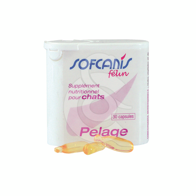 Sofcanis Felin Pelage - SOF024