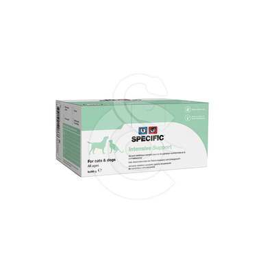 Specific F/C IN-L Intensive Support - SPE361