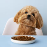 Alimentation pour chien