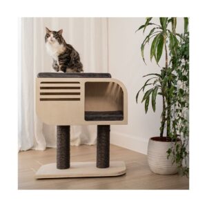 ARBRE A CHAT ATLAS