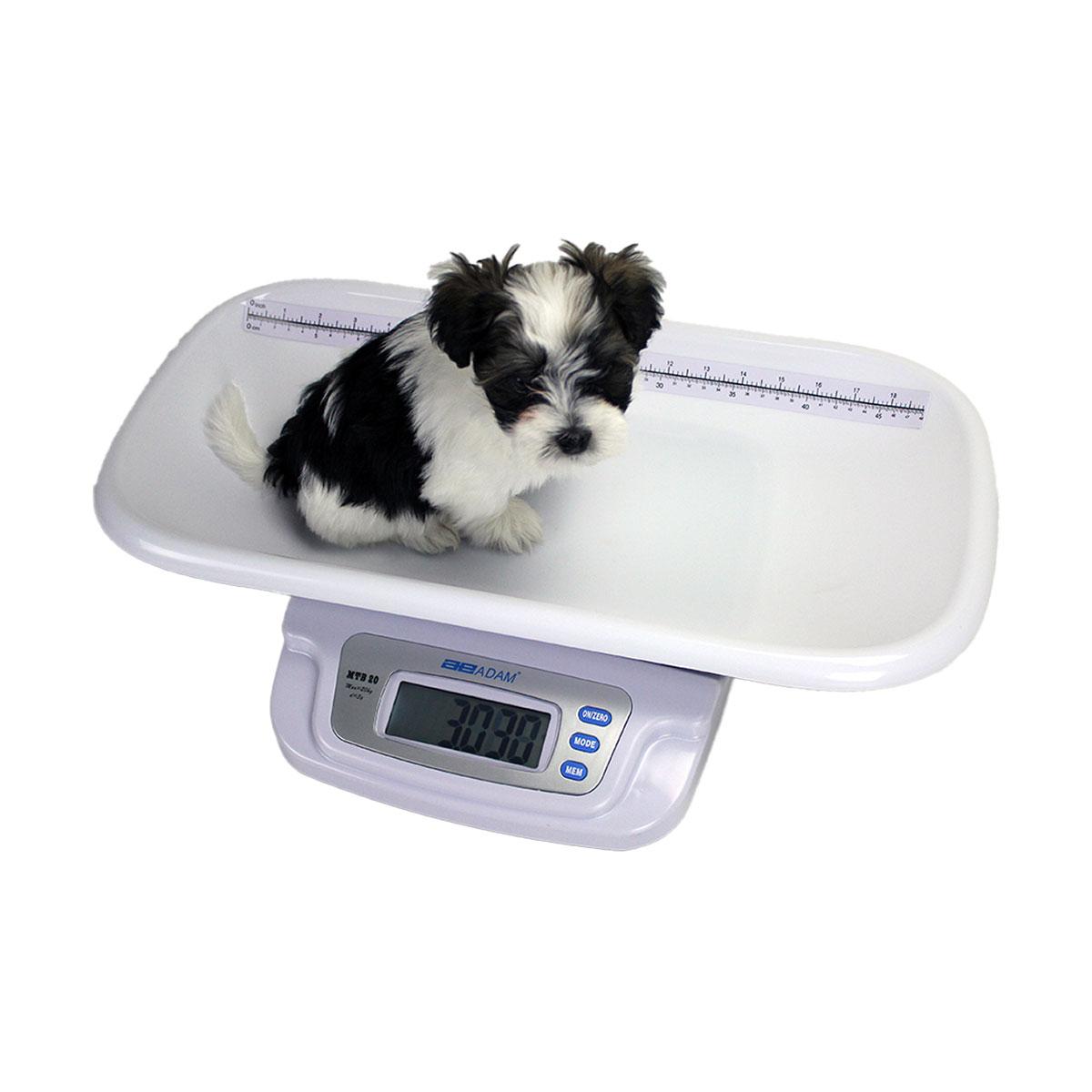 BALANCE PETITS ANIMAUX