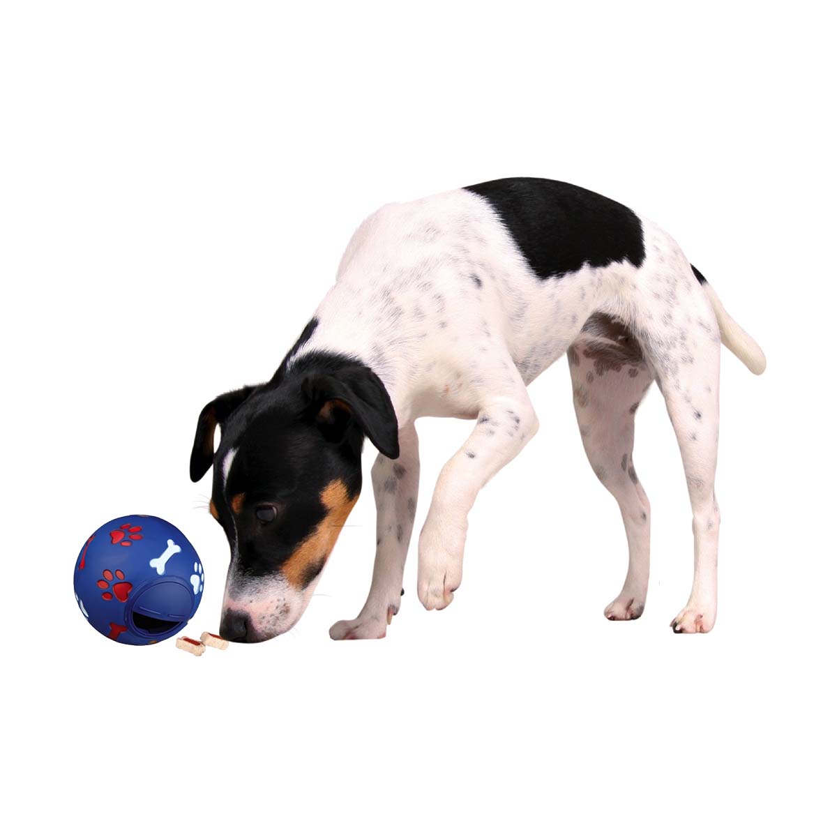 BALLE SNACK BALL CHIEN