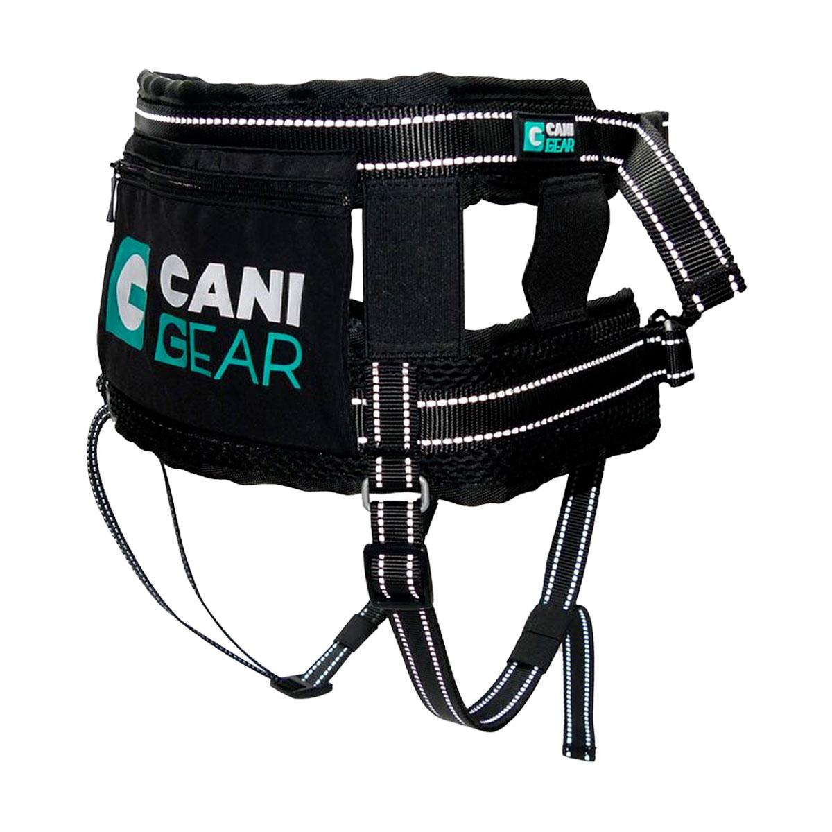 BAUDRIER OLYMPIA CANIGEAR