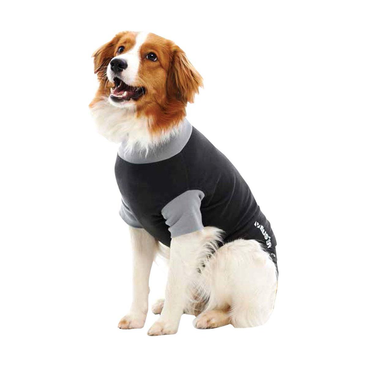 BODY CHIEN 25 CM XXXS